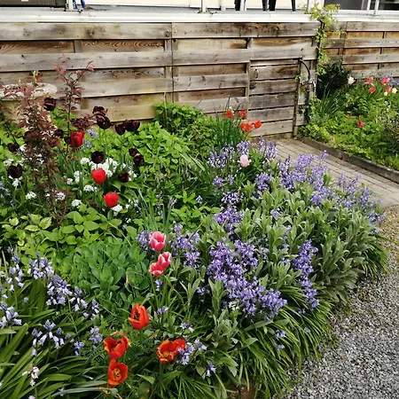 Sur Lesse * 한수르레세