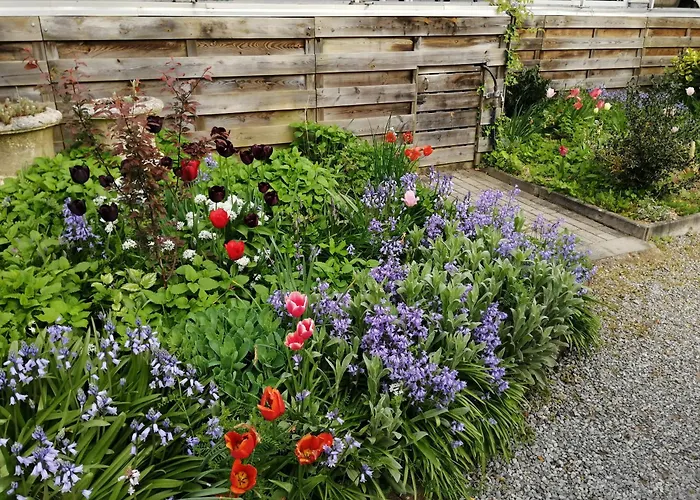 Sur Lesse * Han-sur-Lesse